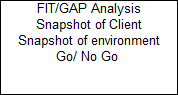 FIT/GAP Analysis

Snapshot of Client

Snapshot of environment

Go/ No Go